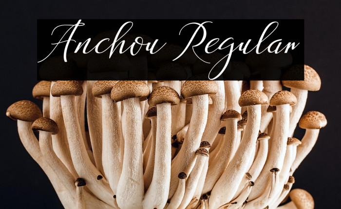 Anchou Regular Example 2