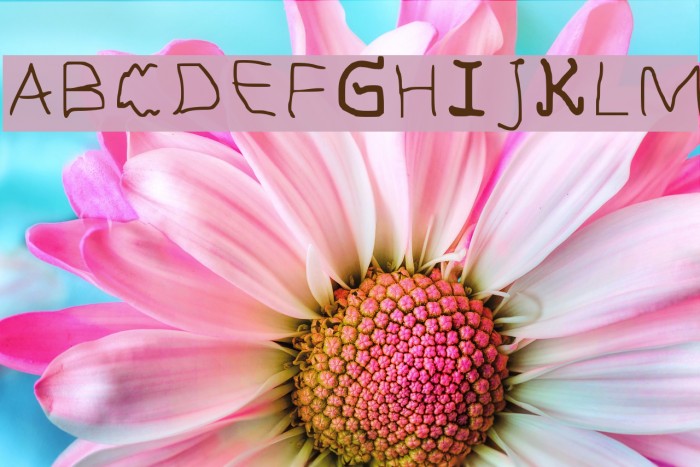 Anciantlahiru Regular Example 1