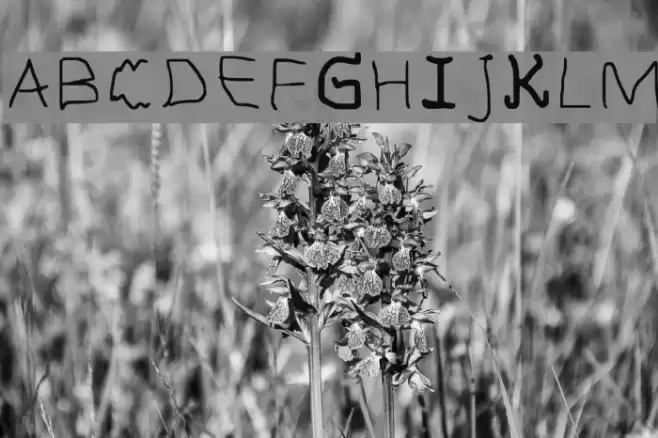 Anciantlahiru Regular Font examples