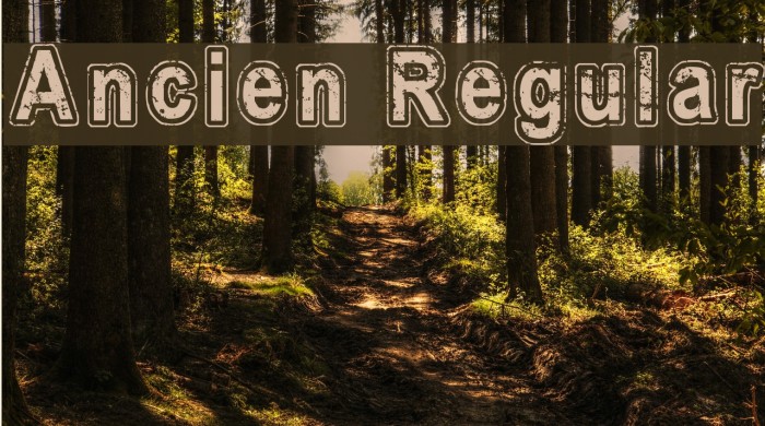 Ancien Regular Font examples