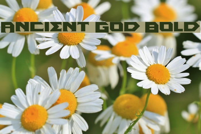 Ancient God Bold Font examples
