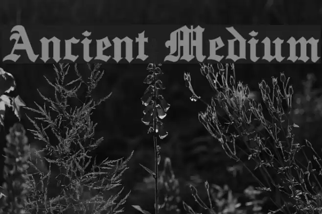 Ancient Medium Font examples
