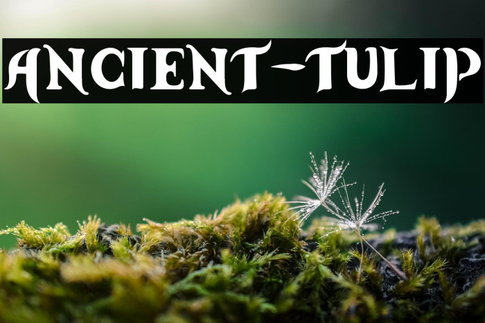 Ancient-Tulip Example 2