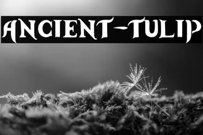 Ancient-Tulip Font examples