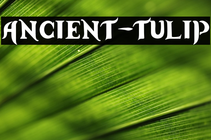 Ancient-Tulip Example 3