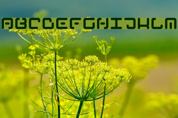 Ancient Venusian Font examples