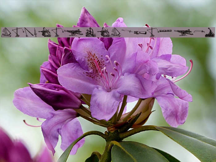 Ancient Weapons tfb Example 3