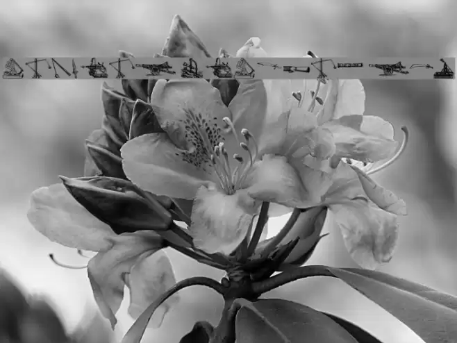 Ancient Weapons tfb Font examples