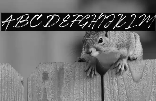 Ancient Font examples