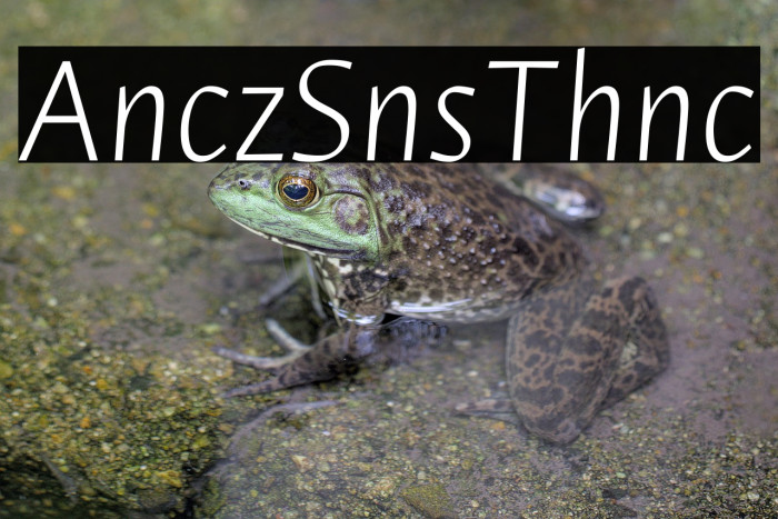 Ancizar Sans Thin Italic Example 1