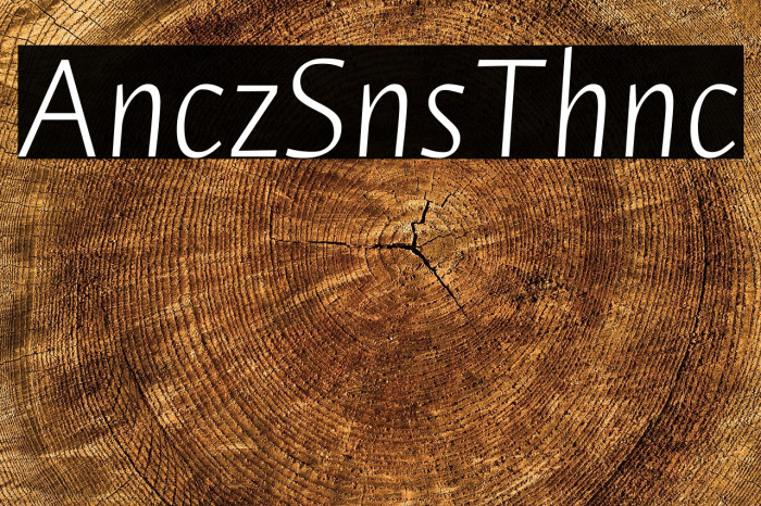 Ancizar Sans Thin Italic Example 2