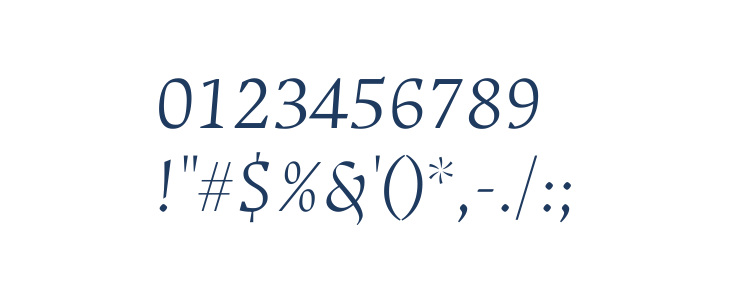 Ancizar Serif Light Italic Other Characters