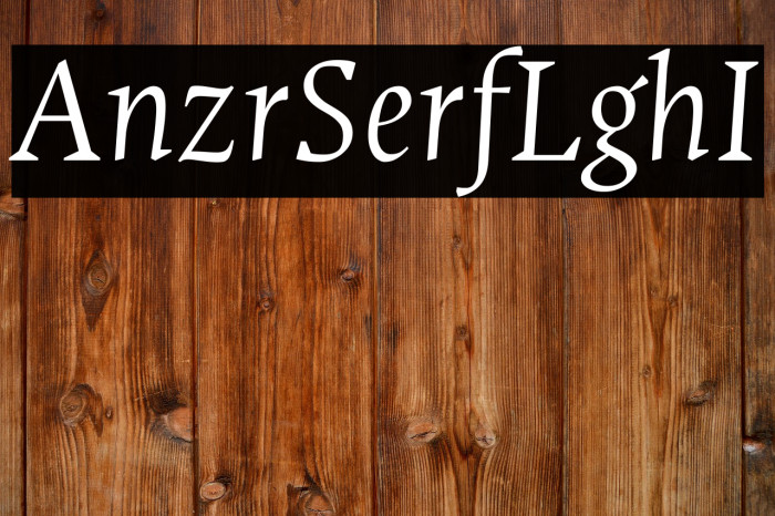 Ancizar Serif Light Italic Example 1