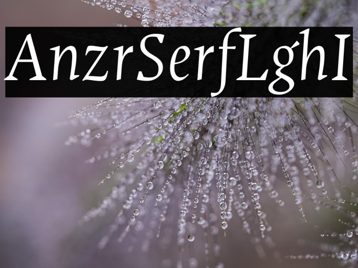 Ancizar Serif Light Italic Example 2