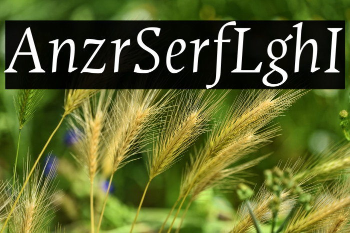 Ancizar Serif Light Italic Example 3