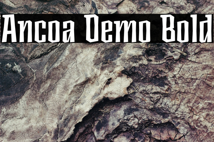 Ancoa Demo Bold Example 1