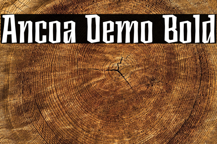 Ancoa Demo Bold Example 3