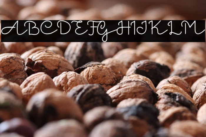 Ancukaseyo Demo Version Example 3