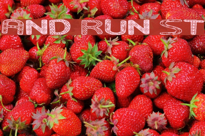 And Run St Font examples