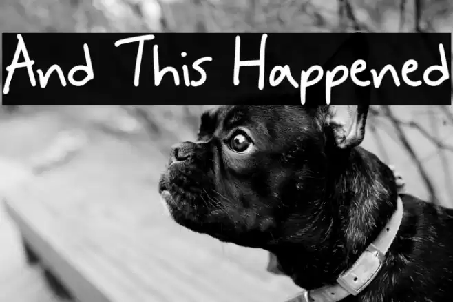 And This Happened Font examples