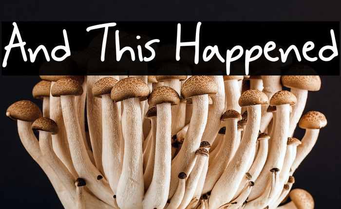 And This Happened Example 3