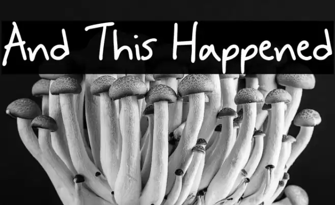 And This Happened Font examples