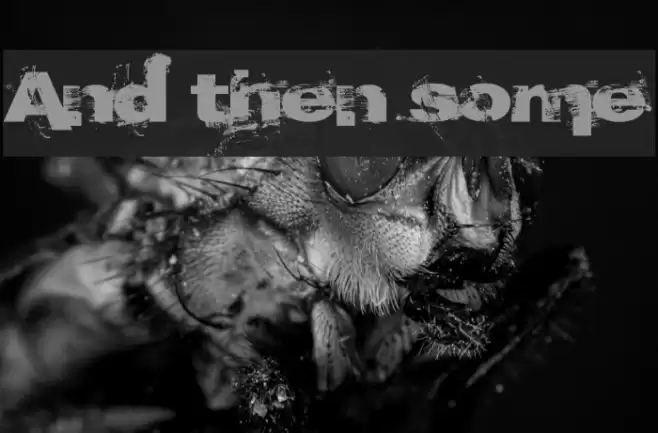 And then some Font examples