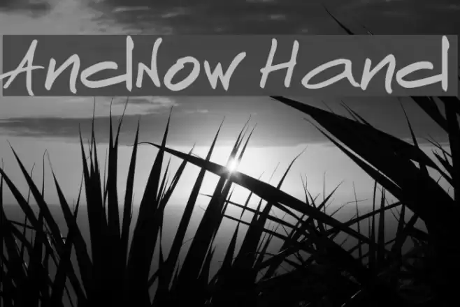 AndNow Hand Font examples