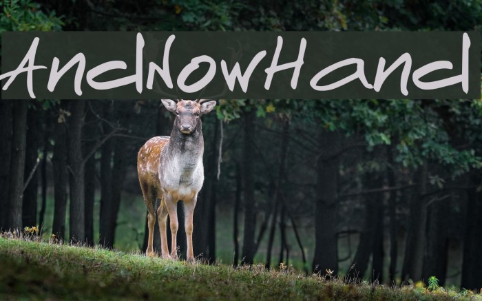 AndNowHand Font examples