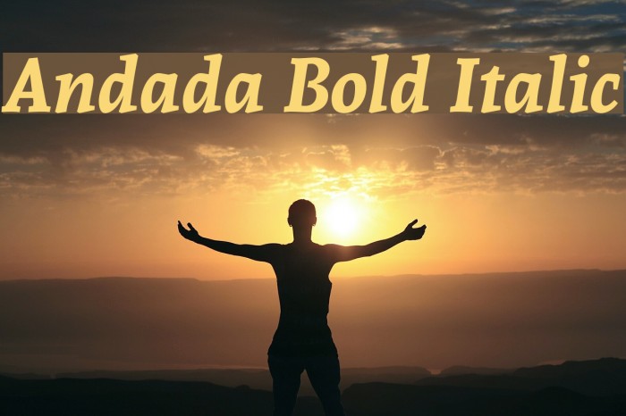 Andada Bold Italic Font examples