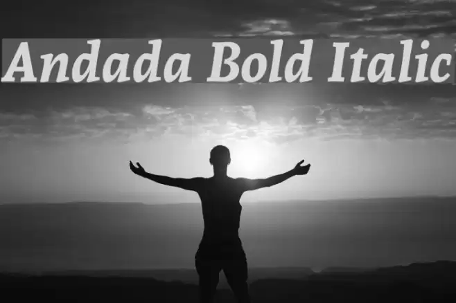 Andada Bold Italic Font examples