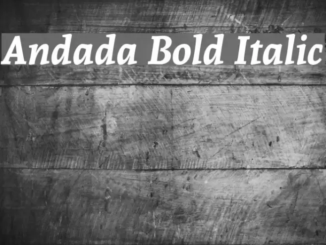 Andada Bold Italic Font examples