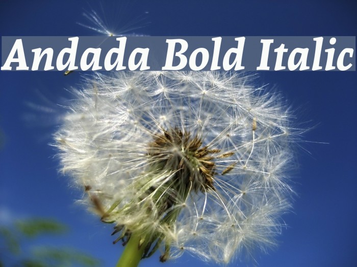 Andada Bold Italic Font examples