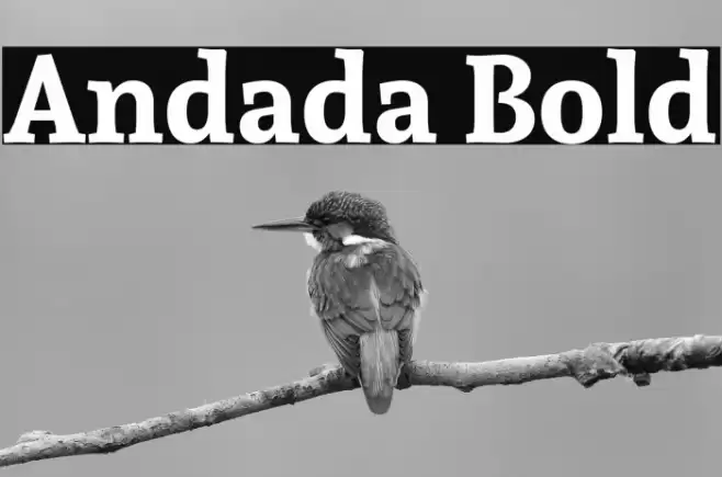 Andada Bold Font examples