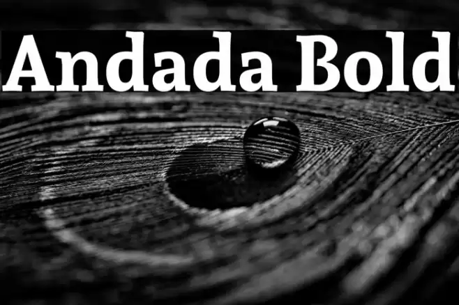 Andada Bold Font examples