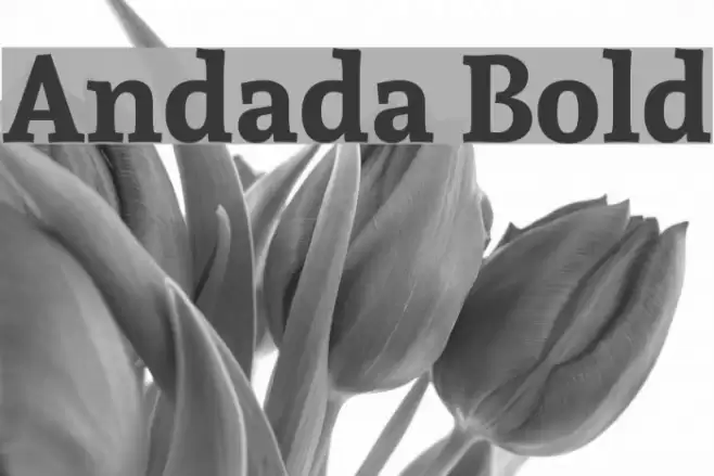 Andada Bold Font examples