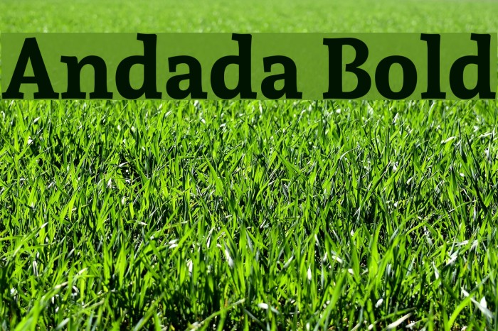 Andada Bold Font examples
