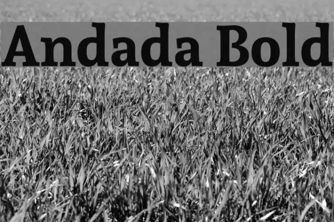 Andada Bold Font examples