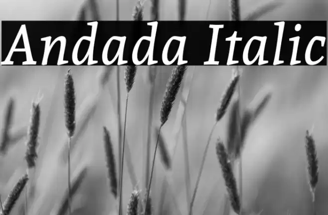 Andada Italic Шрифта examples