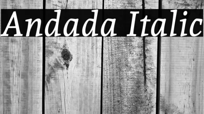 Andada Italic Шрифта examples