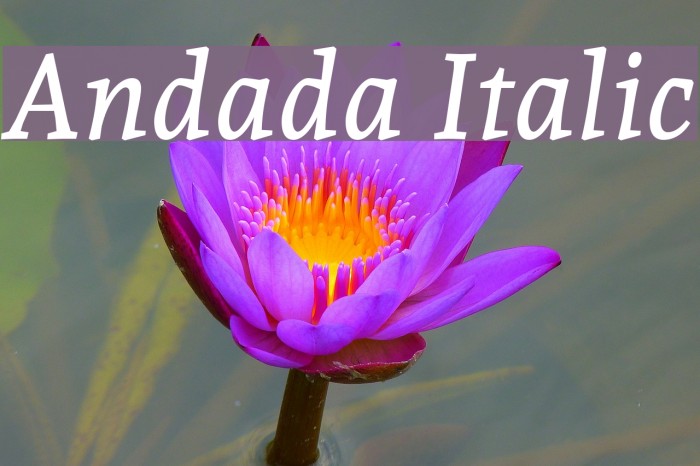 Andada Italic Font examples