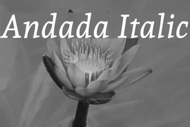 Andada Italic Font examples