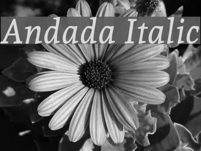 Andada Italic Font examples