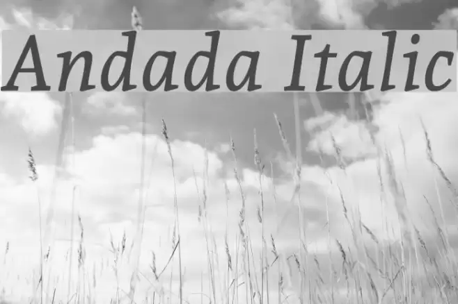 Andada Italic Font examples