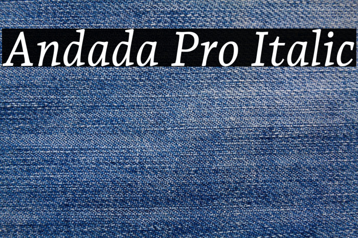 Andada Pro Italic Example 1