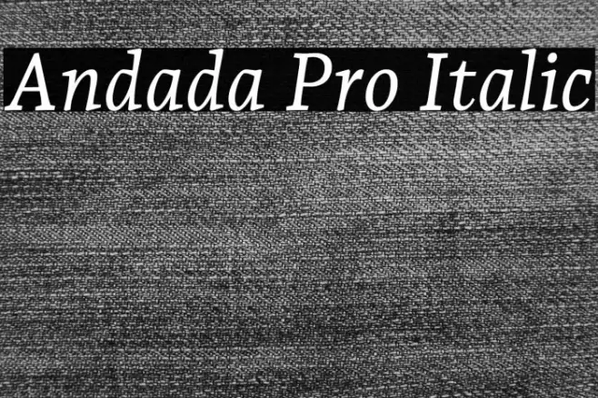 Andada Pro Italic Fuentes examples