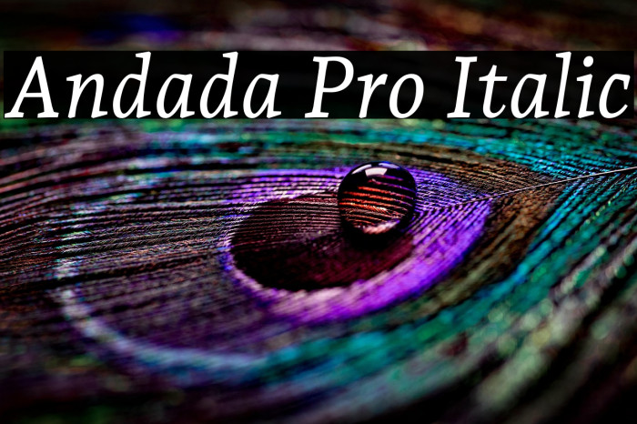 Andada Pro Italic Example 2