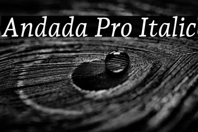Andada Pro Italic Fuentes examples