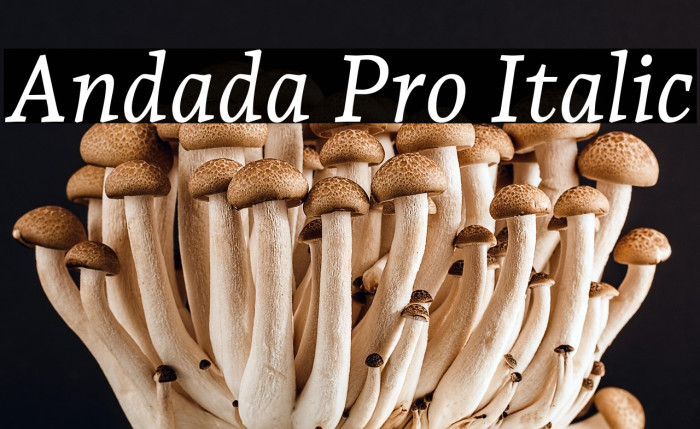 Andada Pro Italic Example 3