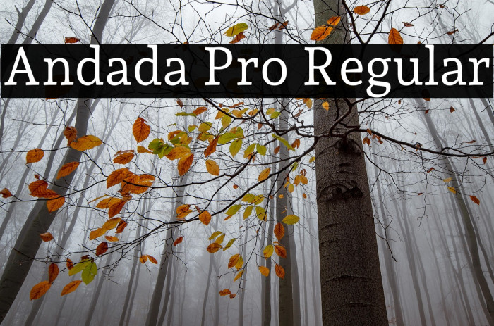 Andada Pro Regular Example 2